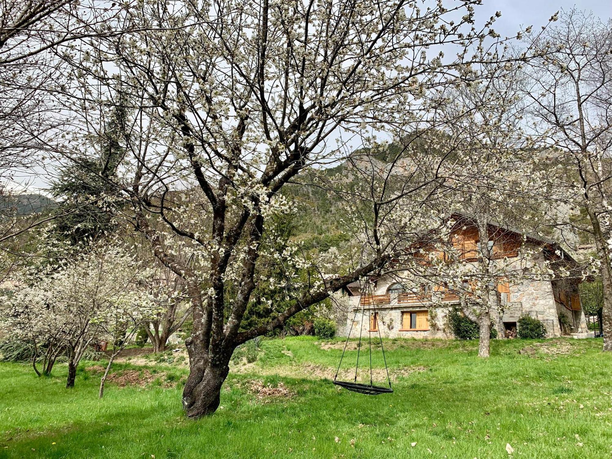 Chalet Le Tilleul Valdeblore Esterno foto