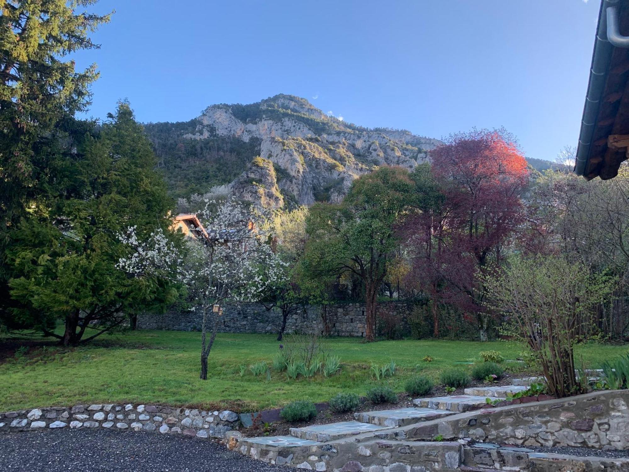 Chalet Le Tilleul Valdeblore Esterno foto